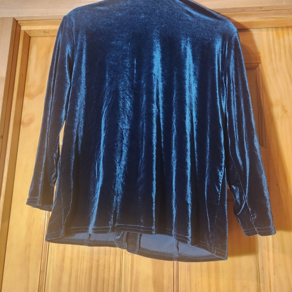 🌟Kathie Lee Collection Velvet Blouse in Deep Green Size Large - Picture 2 of 3